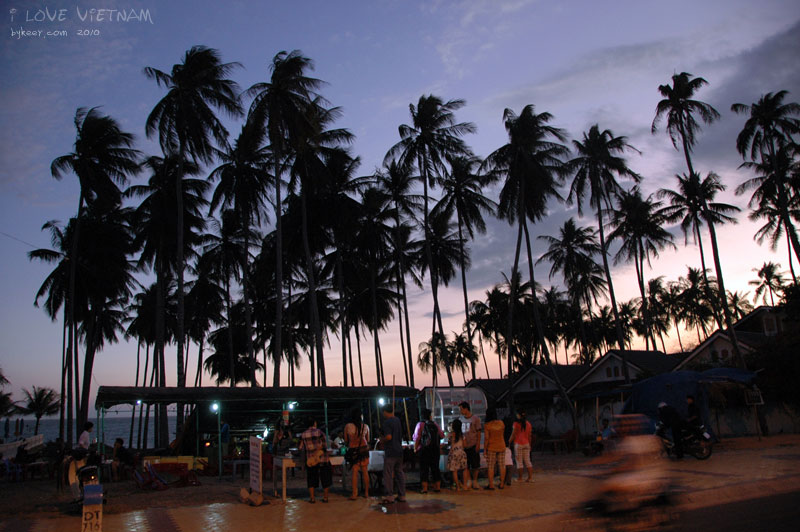 I LOVE VIETNAM(二)(18): 喜欢傍晚的美奈，玫色的天空映衬着人间摇曳的灯光，成群的椰子树的剪影更加优美秀颀