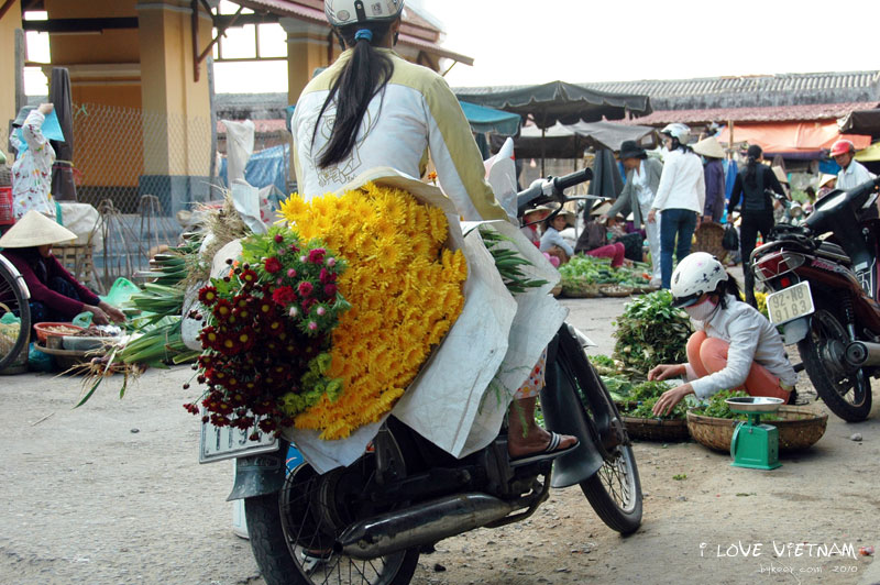 I LOVE VIETNAM(二)(3): 会安镇郊的当地市场，摩托车货架上的菊花和大葱。<br>越南真是个热爱鲜花的国度，地摊排挡上，各种鲜花就和生菜玉米并排着贩卖。