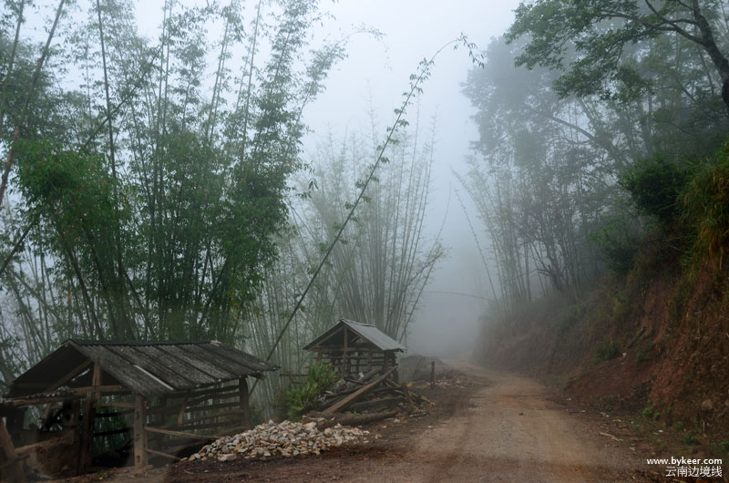 漫游云南陆疆(一)(50): 下山途中，车车一头钻进云雾，又是一番不同的风景了