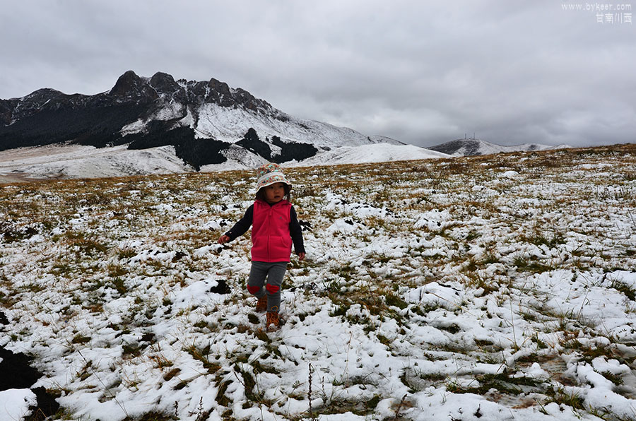 甘南川西(二)(18): 高一些的山口，还有残雪，却一点不冷。薇薇喜欢去检草地上的冰块，现在是捡不过来了！