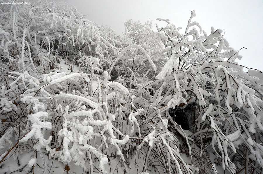 单挑蓥华山(2): 索道站之后，雪深雾重，山路甚险
