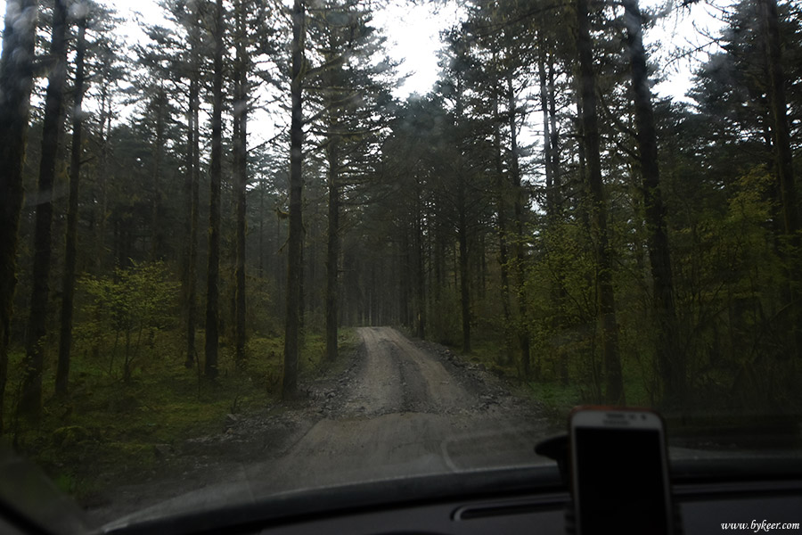 古路村到乐西公路(32): 随着海拔的下降，路边更出现了茂密的森林