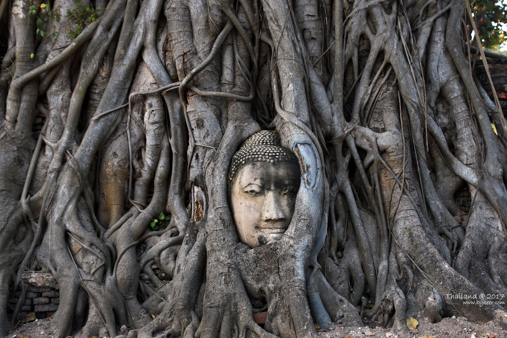 曼谷大城之旅(33): 玛哈泰寺，大城的名片，闭目含笑的佛头被菩提老树根缠绕，是泰国七大奇迹之一。