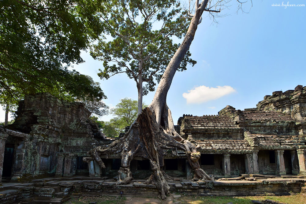 柬埔寨掠影(二)(10): 据说圣剑寺是古墓丽影的拍摄地。回来后特地又找来电影看了，却只认出了熟悉的吴哥窟和荷花池