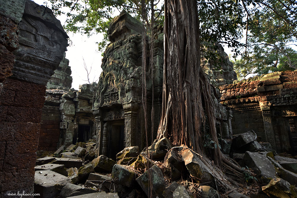 柬埔寨掠影(二)(22): 几百年前开出了花的石头，几百年后也长出了树