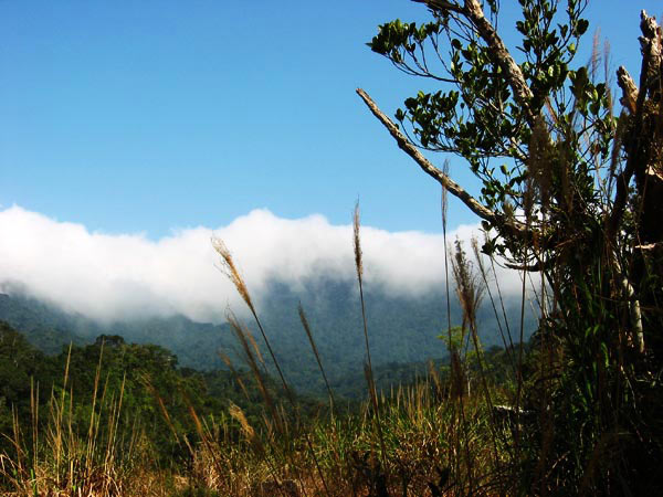 冬日夏梦――海南(18): 云幕中的吊罗山主峰。<br>怎么这么像我想象中的非洲！