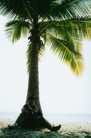 冬日夏梦――海南(5): 椰子树下休息的胖子