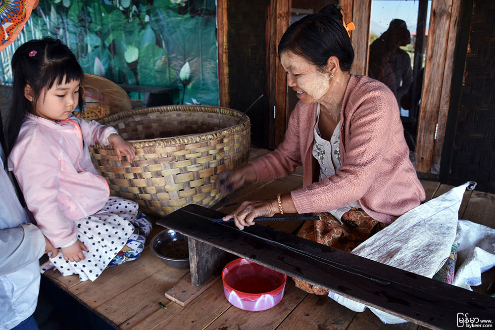 缅甸漫行图记(二)(28): 门外有阿婆在捻线，手指已被经年劳作染成黛色。<br>她将三四条细长的藕段并排截断，拉出藕丝，然后搓在一起，束成长绳，真叫人不可思议！