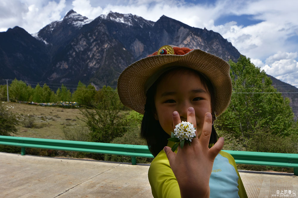 云上的春山(38): 这种藏地野花有着清幽的芳香，也是女孩们的绝色指环：）