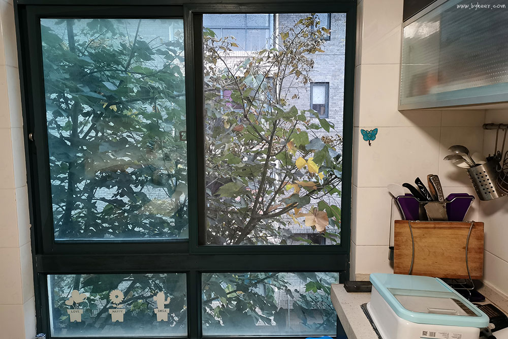 小狗子重回故居(12): 我们的住所叫梧桐苑。<br>四年前离开时，窗外刚能看见树梢；<br>而今已是绿叶如植了。