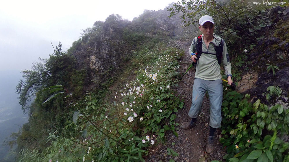 铁瓦殿(6): 下山途中，海拔1780米，穿越泥泞雨林，一处山花怒放的临崖小路
