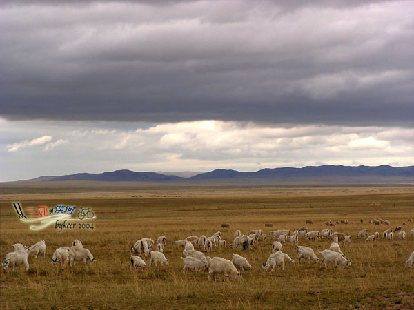 内蒙访古(46): 云层下的羊群