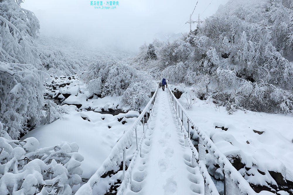 茶马古道之冰雪奇缘(17): 无数铁索桥，牵引着古道在山溪左右穿插，它们的铁锁铁板全都裹满霜雪，仿佛也由冰雪筑成一般。