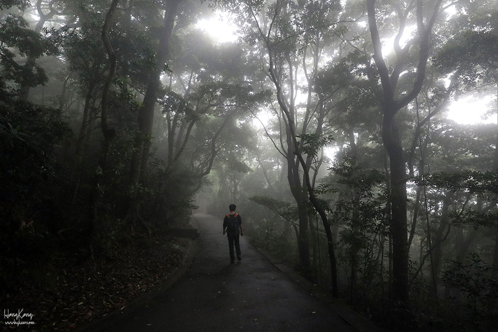 东方之珠(13): 和uko走在凉飕飕湿漉漉雨雾迷蒙的太平山