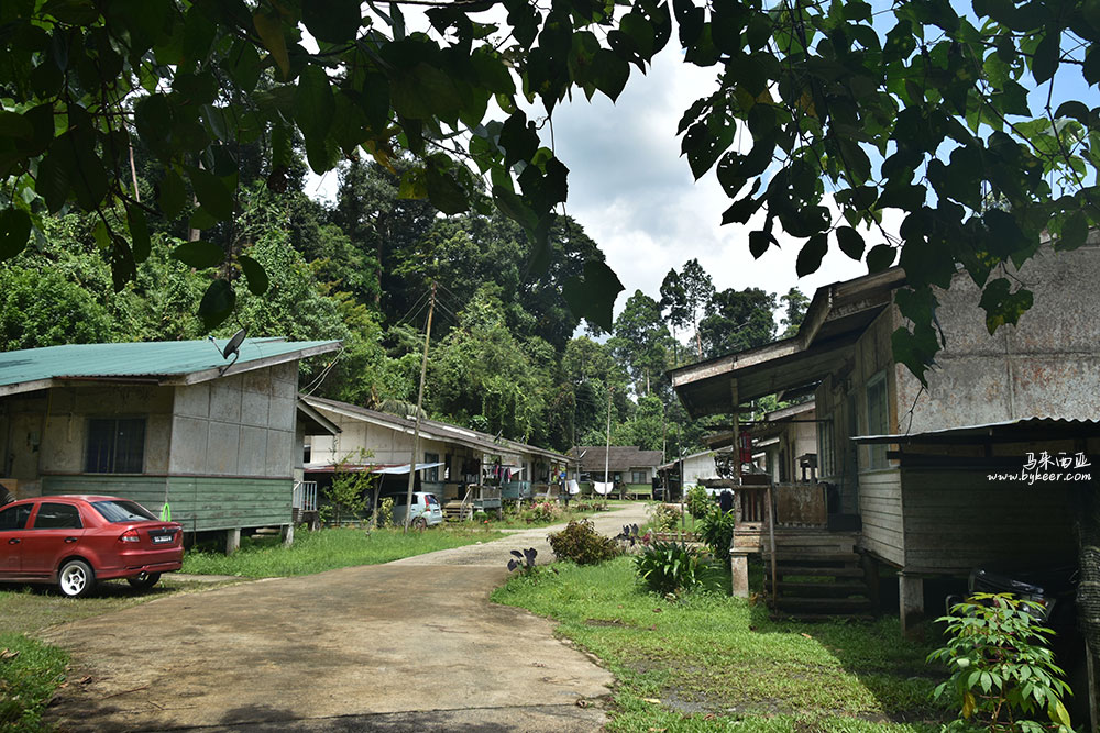 婆罗洲的雨林(一)(16): 原生态的马来乡村。有灿烂的阳光，茂密的雨林，房舍简朴洁净，家家车库停着小车却不显拥挤繁杂。<br>还有一丝丝向往呢！