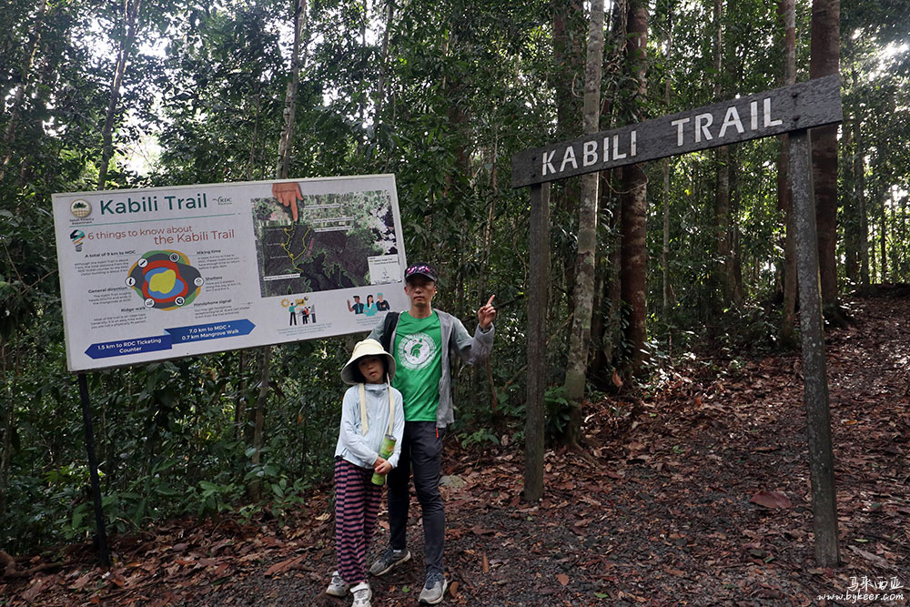 婆罗洲的雨林(一)(22): 我们只在RDC中走了一小段。密林深处，OpenStreetMap上也清晰可见，Kabili Trail纵贯整个Sepilok保护区，直到海边红树林。<br>招牌上说，这条小路仅9km，3小时左右就可抵达MDC（Mangrove Discovery Centre）……啊啊啊 我为什么不提前多研究下攻略？！