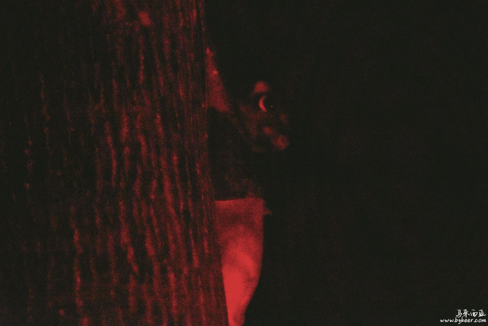 婆罗洲的雨林(一)(30): 这只该是眼睛猴？就在头顶斜上方的树干上，黑黑的一小团，夜色几乎黑透了，只有它硕大的眼睛在偶尔亮起的手机屏幕前闪闪发光。