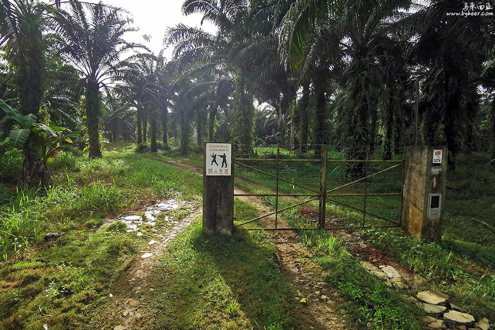 婆罗洲的雨林(二)(16): 马来该是土地私有吧，如此形象的招牌不时可见，跑个步有点小惊悚……<br>朋友圈里有人回应我，当然私有，不过马来禁枪：） 也有人说，要小心，那边有biubiubiu