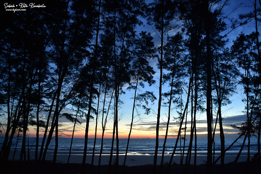 婆罗洲的尽头(11): 