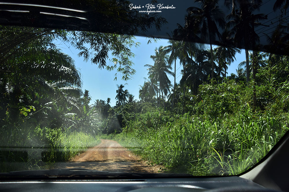 婆罗洲的尽头(19): 