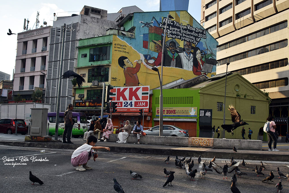 婆罗洲的尽头(2): 