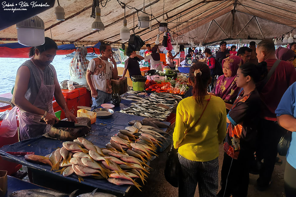 婆罗洲的尽头(35): 