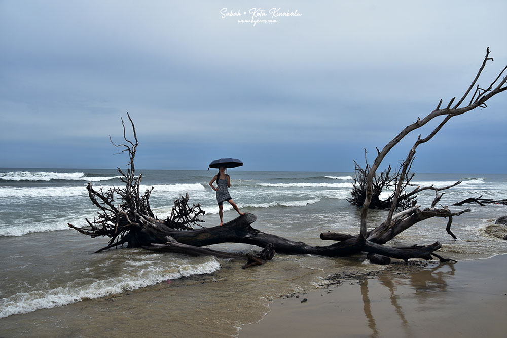 婆罗洲的尽头(8): 