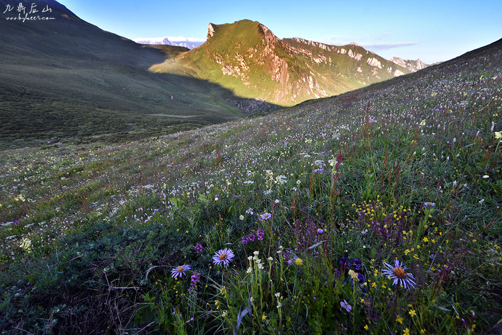 天国花径之九顶后山(14): 