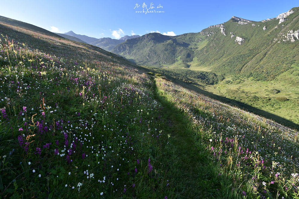 天国花径之九顶后山(15): 