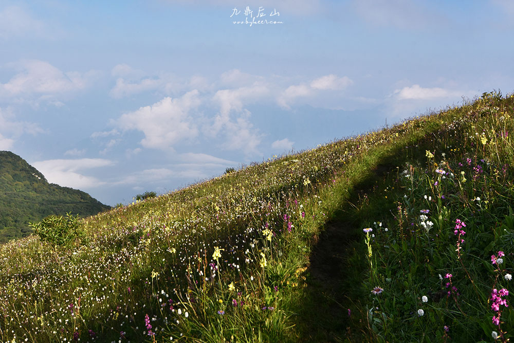 天国花径之九顶后山(16): 