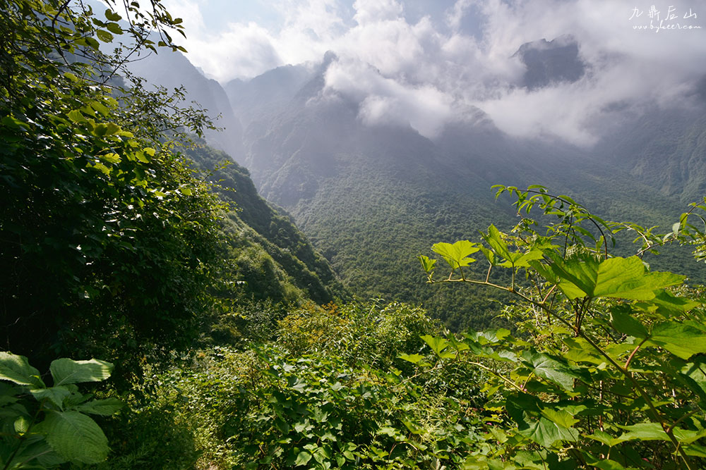 天国花径之九顶后山(18): 