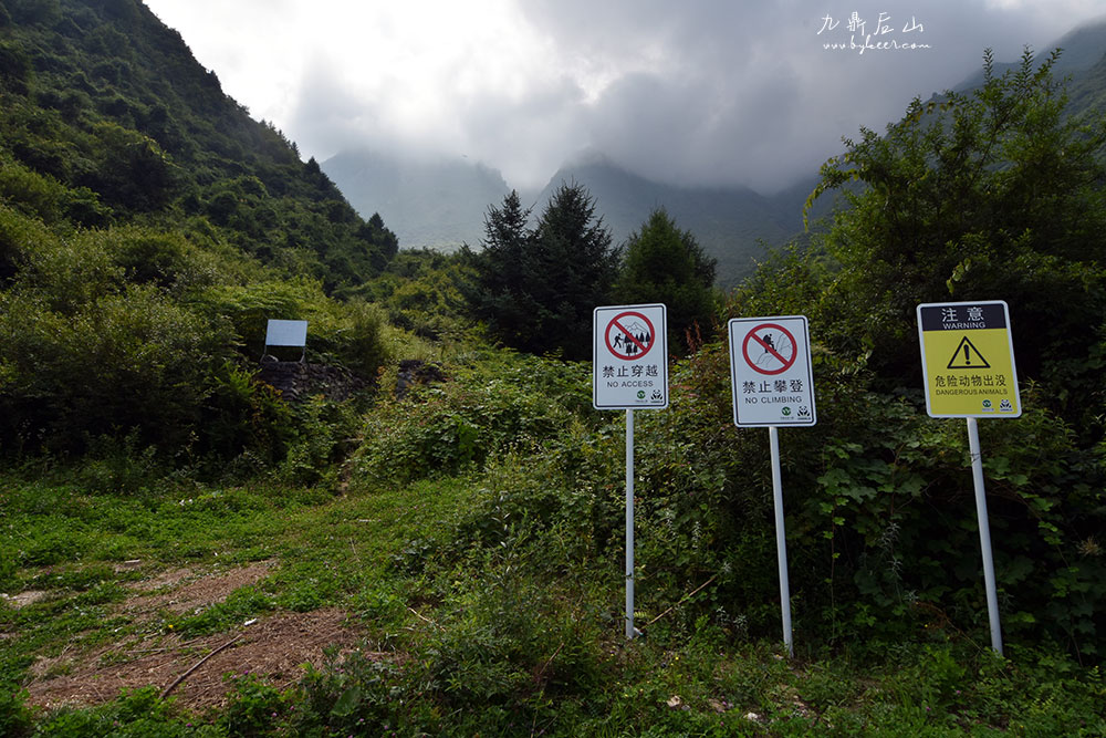 天国花径之九顶后山(19): 
