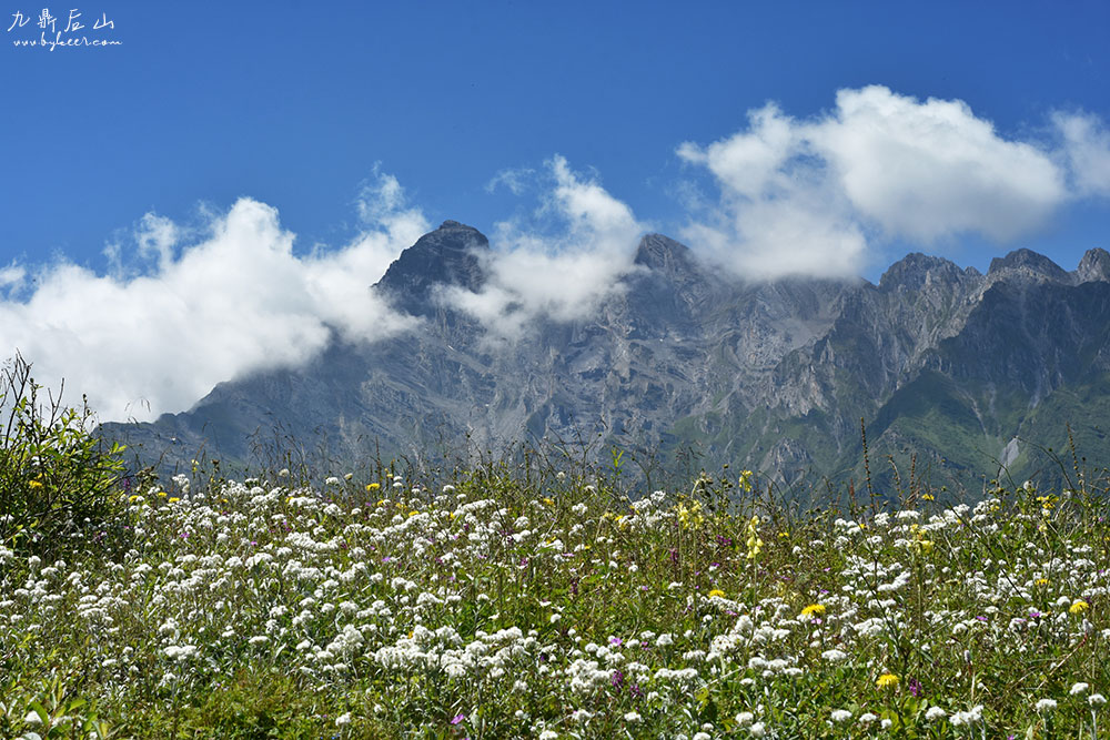 天国花径之九顶后山(2): 