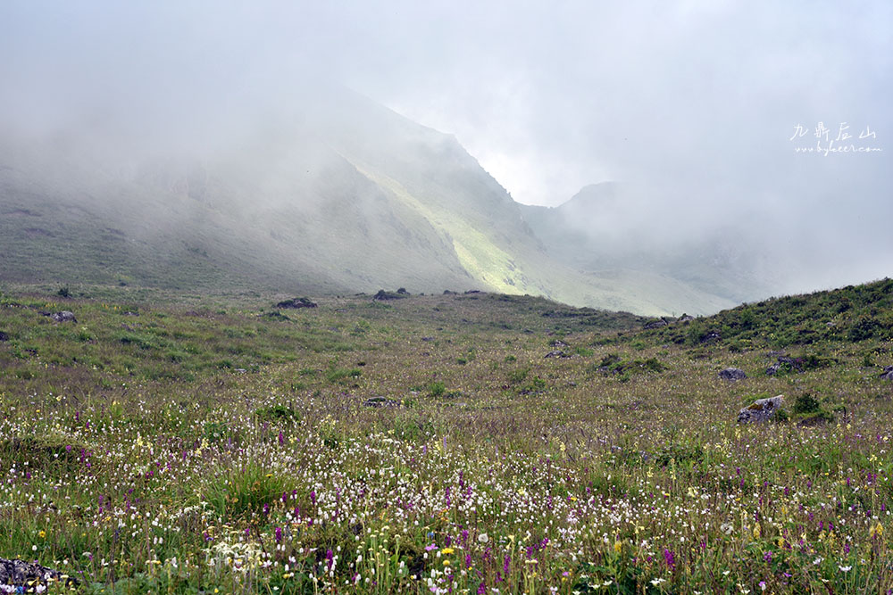 天国花径之九顶后山(3): 