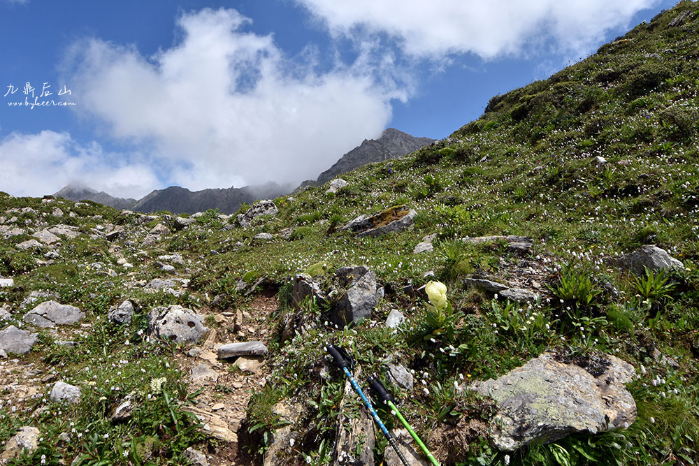 天国花径之九顶后山(5): 