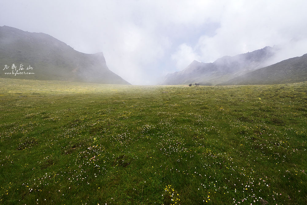 天国花径之九顶后山(6): 