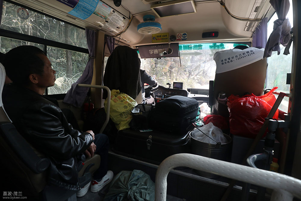 在茂兰的密林中(1): 