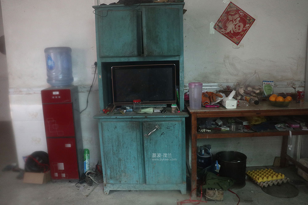 在茂兰的密林中(11): 