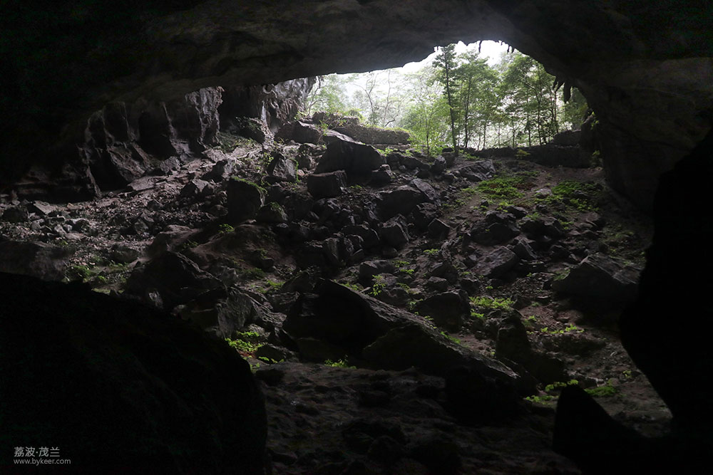 在茂兰的密林中(24): 