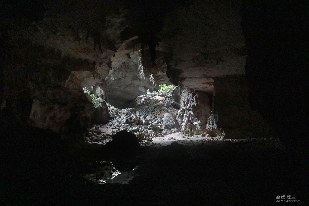 在茂兰的密林中(26): 