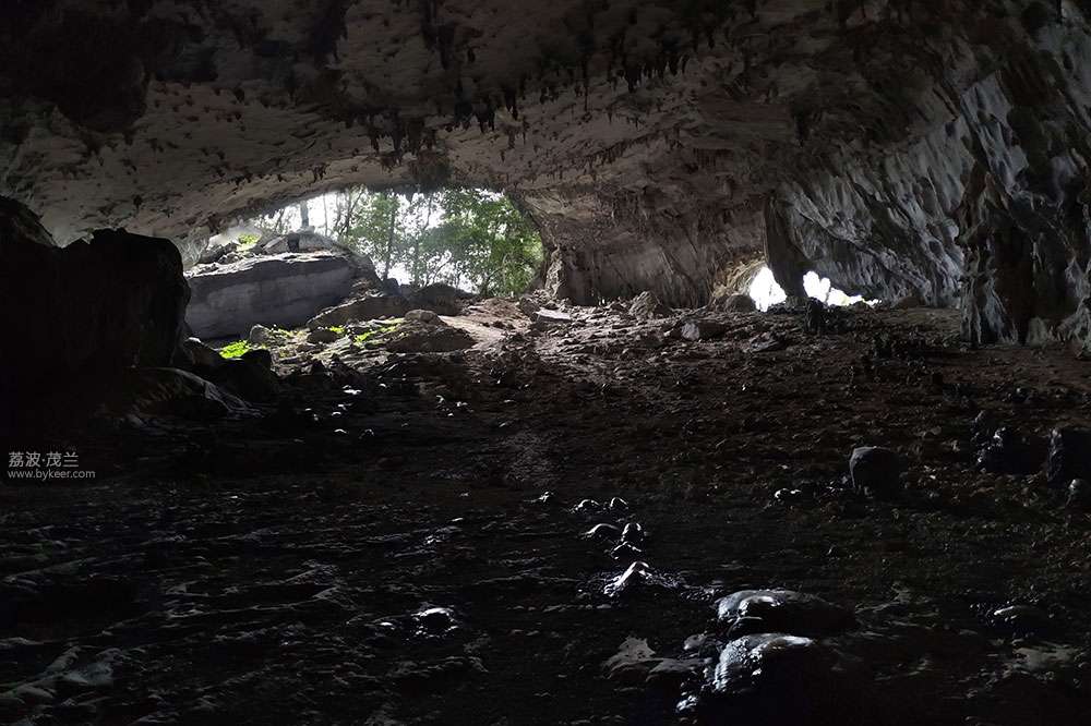 在茂兰的密林中(27): 