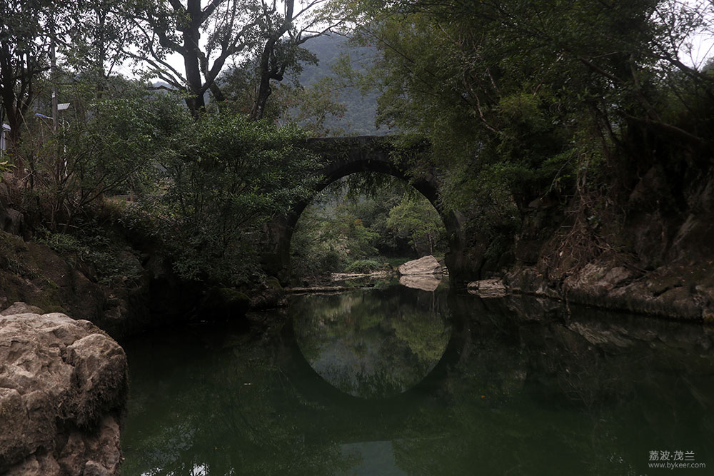 在茂兰的密林中(28): 