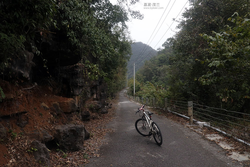 在茂兰的密林中(29): 