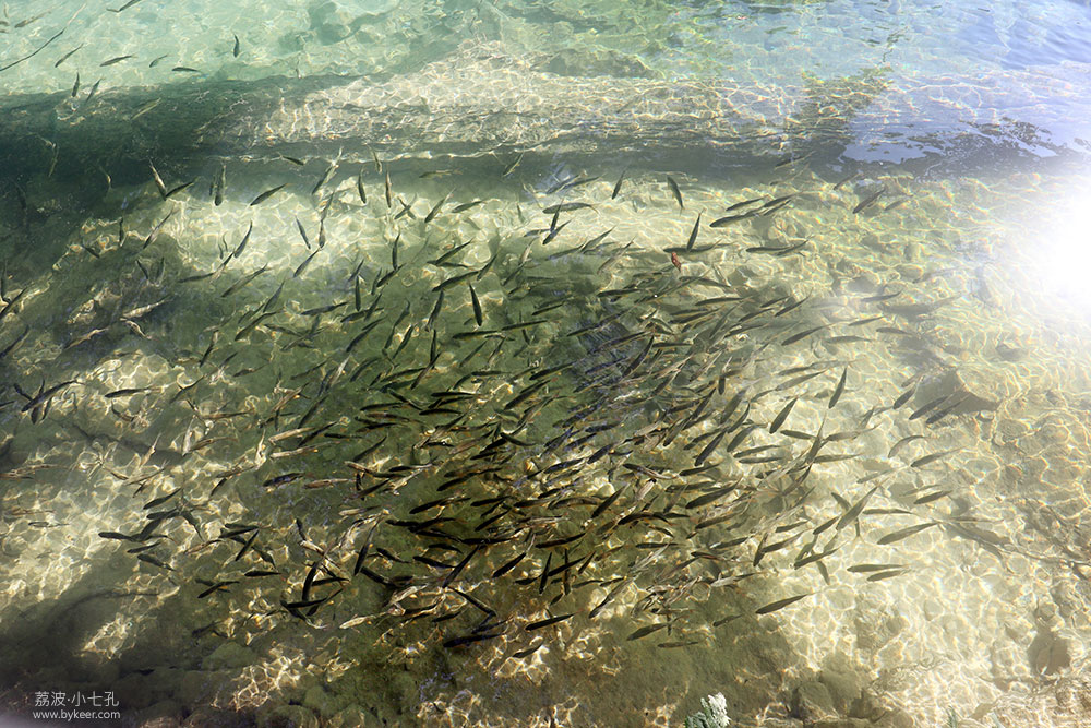 地球腰带上的绿宝石(13): 