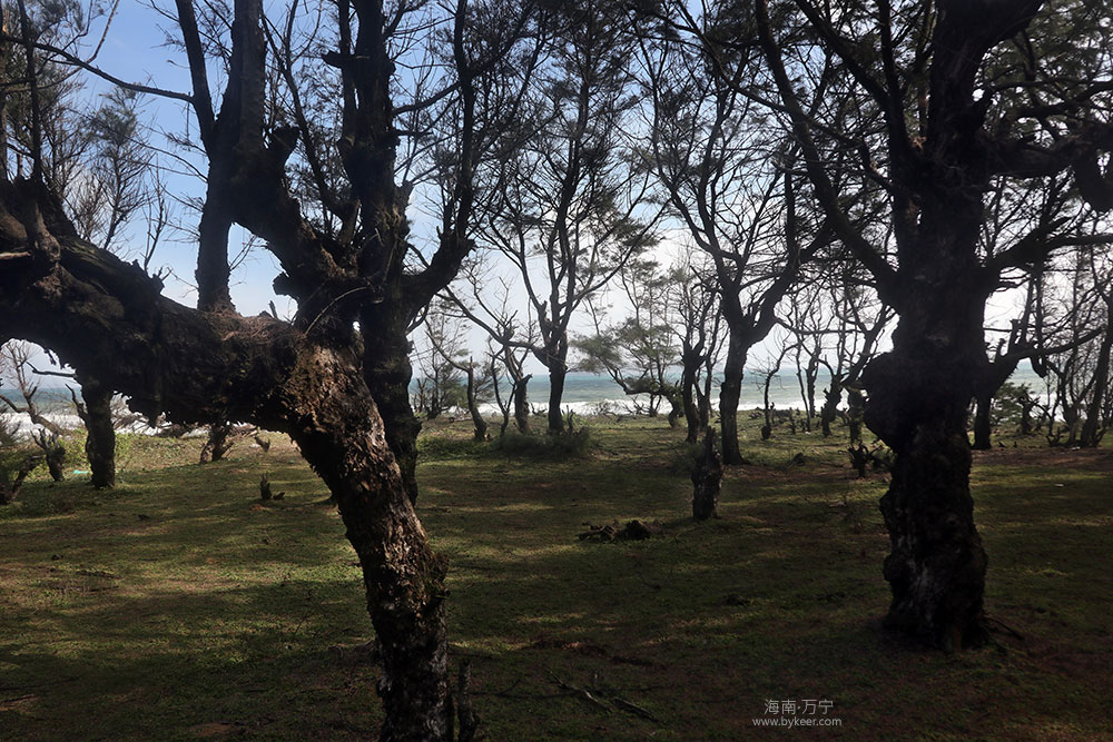 万宁海岸线-4 万宁海岸线(4):