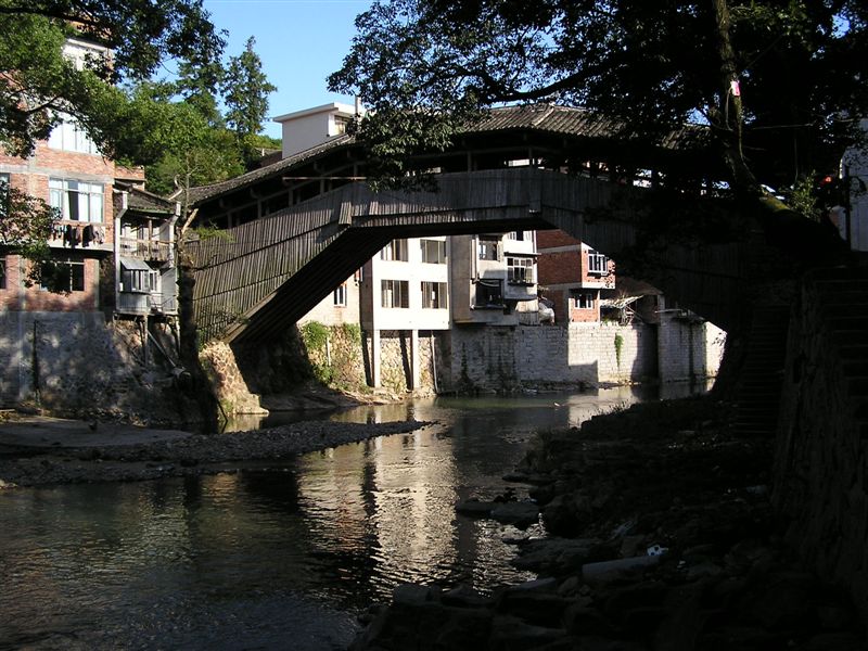 廊桥如梦(16): 薛宅桥在三魁镇上<br>小溪 古树 廊桥<br>而周围的建筑已经不太协调了