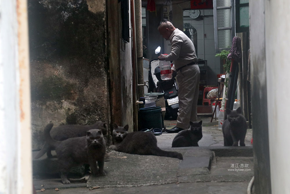 湛江赤坎：非预制(13): 