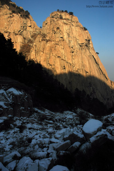 岱宗晴雪(20): 夕阳下的金黄色山崖。<br>蓝天、黄石、黑松、白雪，构成了一幅绝美的画面。