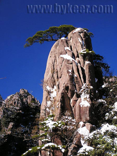 黄山雪霁(2): 盆景