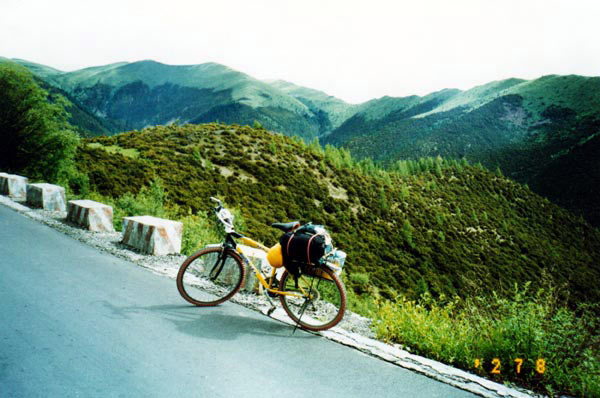 川藏南线(11): 高尔士山的花衣。<br>山在阳光下很漂亮，<br>同样的，<br>山顶是碧柔的草毯，<br>草毯下是深色的林木